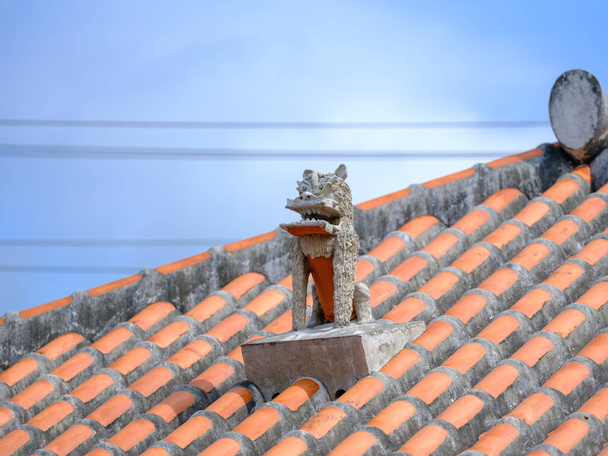 Punainen kaakeloitu katto Taketomi saarella - Valokuva, kuva