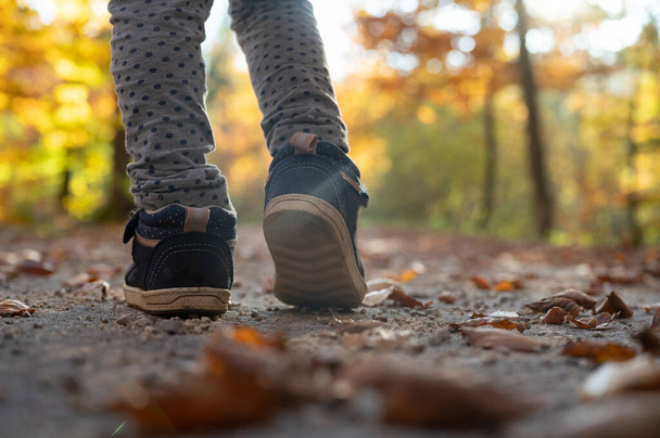 Nízký úhel pohledu na dítě kráčející po stezce uprostřed podzimního lesa. - Fotografie, Obrázek