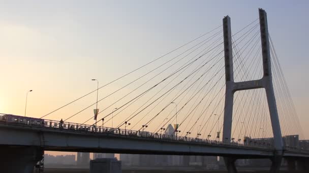 Nachtansicht der Brücke und der Stadt in Shanghai China - Filmmaterial, Video
