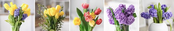 Колаж з букетами красивих квітучих весняних квітів
 - Фото, зображення