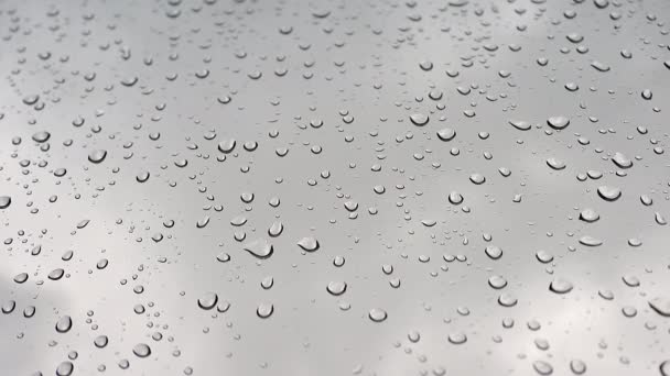 8K 7680X4320.Water drops of rain on wet window glass surface.Transparent blobs of rains on glass.Drop randomly sliding on windows. Misturará decentemente se o modo de mistura definir luminosity.Aqua gotejamento romântico blob emocional deslizamento líquido tempo úmido - Filmagem, Vídeo
