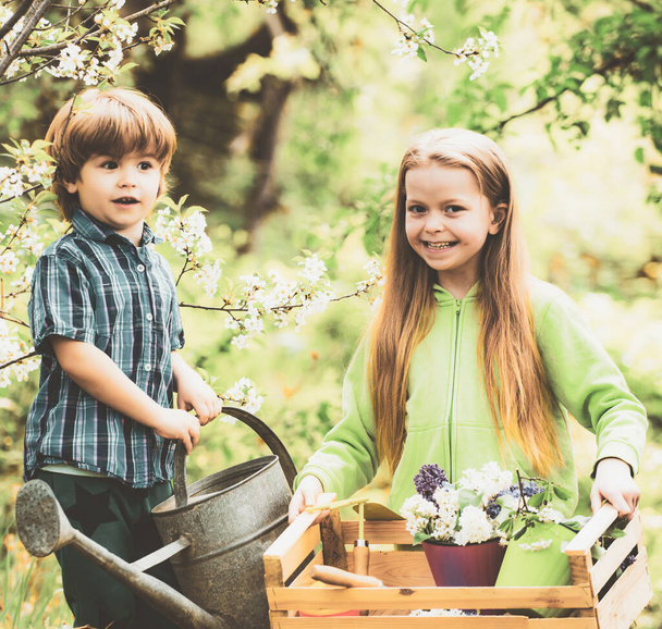 Gardening tools and water can for kids. Children planting spring flowers in sunny garden. Little boy and girl gardener gardening. - 写真・画像