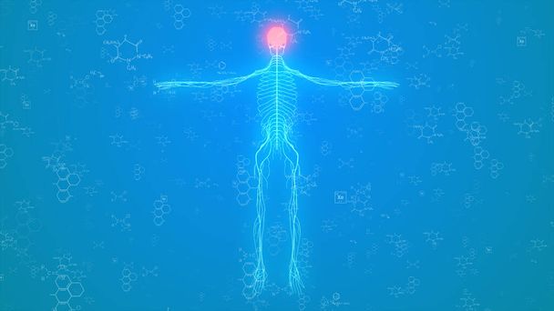Компьютерная генерация Целая система нервов человека Подсветка с красным цветом, 360 градусов Вращение - Фото, изображение
