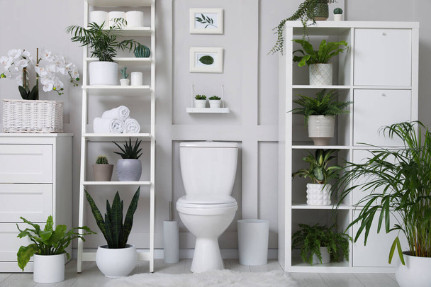 Stylish bathroom interior with toilet bowl and many beautiful houseplants - Foto, afbeelding