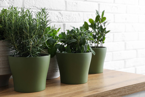 Different aromatic potted herbs on wooden table near white brick wall - Фото, изображение