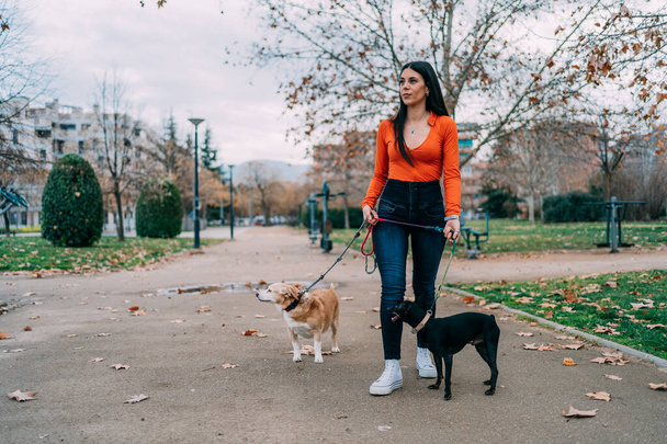 Giovane donna a spasso i suoi cani al guinzaglio nel parco - Foto, immagini