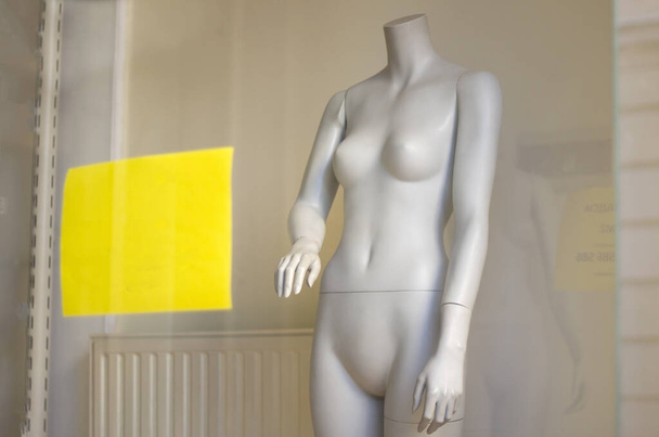 Naked female mannequin. Plastic dolls in store window display - 写真・画像