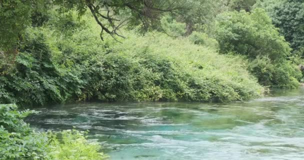 Πλευρική άποψη για μια καρστική πηγή στην Αλβανία. Μαγικό τυρκουάζ νερά αναβλύζει από υπόγεια, πολύχρωμο πράσινο γύρω, μπλε λιβελούλες πετούν - Πλάνα, βίντεο