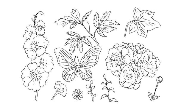Malvenblüten Schmetterling Insekten Gartenanemonen Blätter exotische blühende Pflanzen Grafik Illustration handgezeichnet Set auf weißem Hintergrund separat Färbung für Kinder - Vektor, Bild