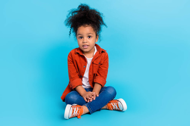 Full size photo of funky curly little girl sit wear shirt jeans shoes isolated on blue color background - Foto, immagini
