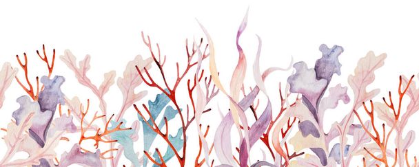 Aquarel horizontale naadloze rand gemaakt van zeewier en koraal in pastelkleuren geïsoleerd. Onderwater Illustratie voor wenskaarten, uitnodigingen voor zomerstrandbruiloften, knutselen, drukken - Foto, afbeelding