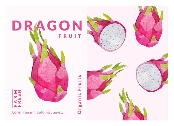 Pitaya Fruit packaging Label design templates, watercolour style vector illustration. - Vektor, obrázek
