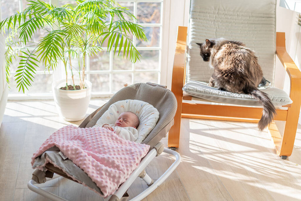 pasgeboren baby meisje slaapt in haar schommelende hangmat verpakt in een roze deken naast haar Siamese kat. concept baby 's en huisdieren thuis - Foto, afbeelding