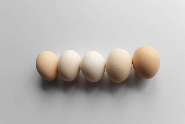 Uova isolate su fondo bianco, uova marroni - Foto, immagini