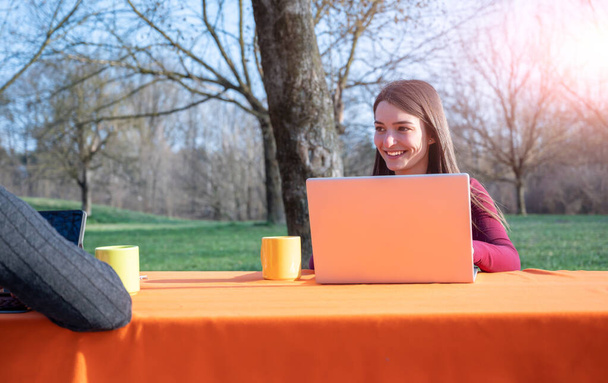 Una pareja joven trabaja remotamente en un parque en un buen día soleado. Utilizan una computadora portátil y una tableta mientras hablan entre sí. En la mesa hay vasos y un termo. Concepto de trabajo remoto al aire libre. - Foto, Imagen