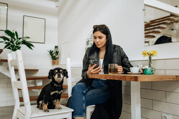 An optimistic woman in a gray suit smiles and plays with a dog in a cafe. Pretty woman in stylish coat posing. High quality photo - 写真・画像