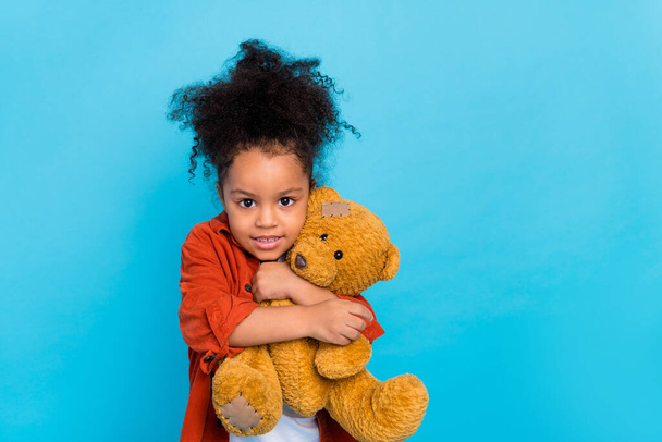 Photo of nice wavy small girl hug toy wear brown shirt isolated on blue color background - Valokuva, kuva