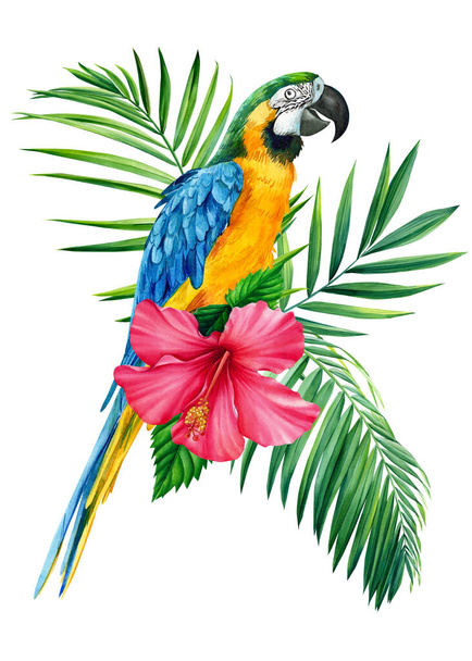 floral exotic watercolor illustration with macaw parrot, tropical leaves, hibiscus. Isolated on white background - Foto, imagen