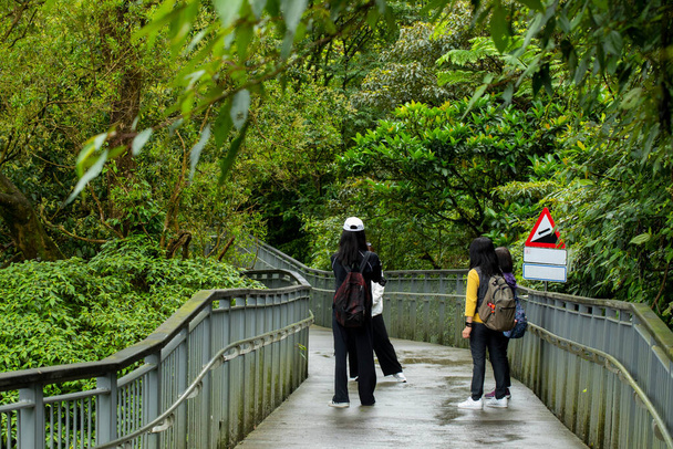 Forest Trail, Shifenliao Waterfall Park, New Taipei City, Taiwan - Fotó, kép