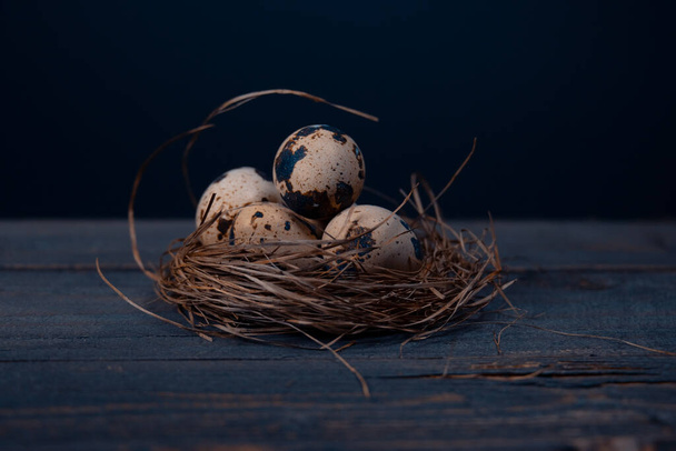 Osterposter und -banner. Vogelnest und Eier auf einem Holzbrett - Foto, Bild