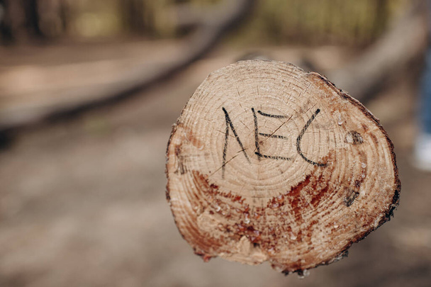 rönk, fűrészelt fa, ital "erdő" jelzéssel oroszul - Fotó, kép