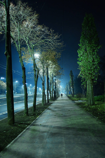 A calçada perto de uma grande estrada à luz das luzes de rua à noite - Foto, Imagem