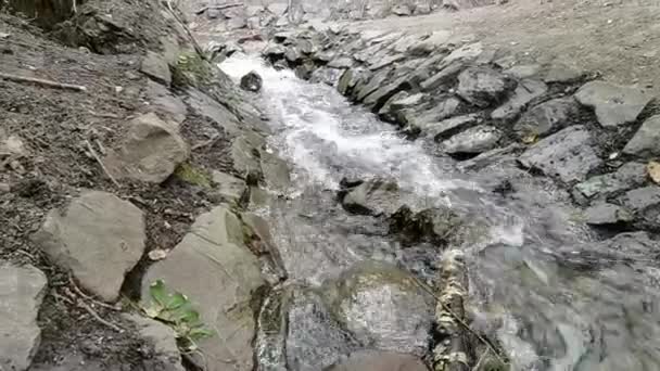 malý potok v zalesněné oblasti - Záběry, video