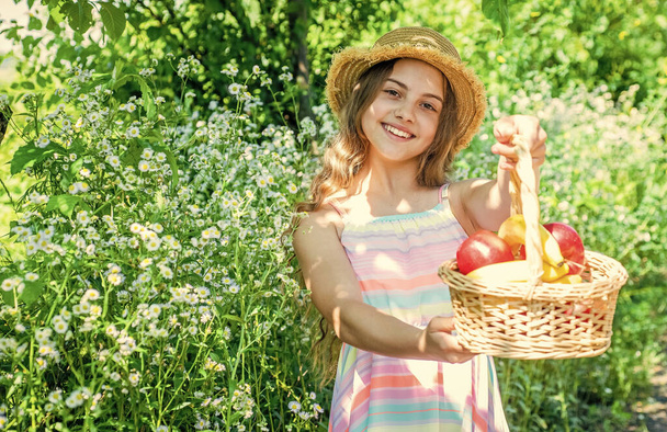 Natural food. Cute girl child with basket fruits nature background - Foto, afbeelding