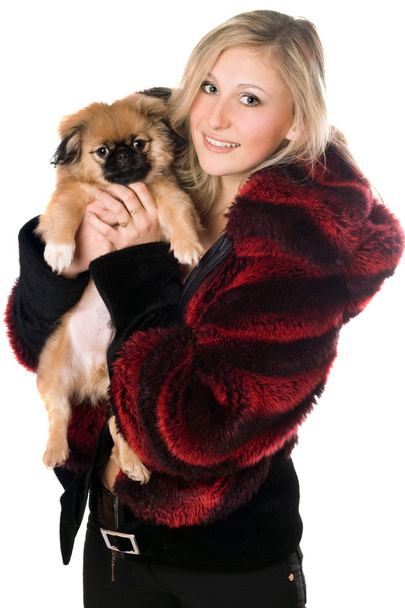 Блондинка держит щенка пекинеса
 - Фото, изображение