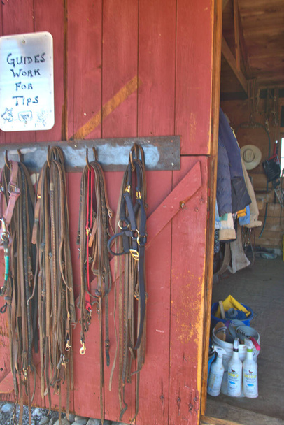 Lederen halters en loodtouwen hangend aan een rode schuurdeur die leidt naar de zadelkamer van een ranch waar paarden kunnen paardrijden - Foto, afbeelding
