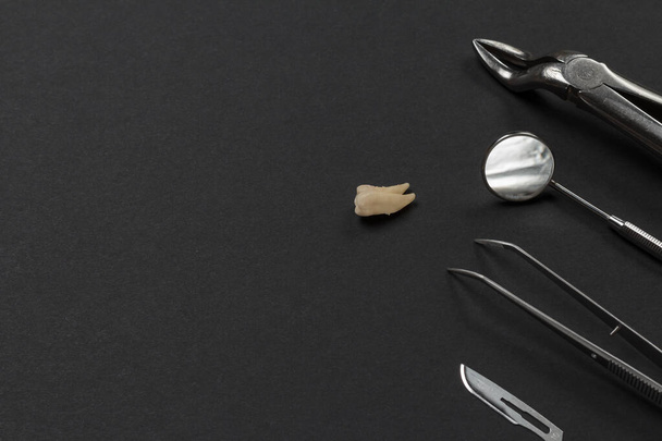 Stainless steel dental pliers, a mouth mirror, tweezers, a blade and an extracted sick tooth on the black background. Medical tools. Top view. - 写真・画像