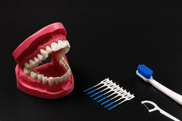 Anordnung des menschlichen Kiefers mit einer Zahnbürste, einem Silikonseidenzahnstocher und Zahnzwischenraumbürsten auf schwarzem Hintergrund. - Foto, Bild