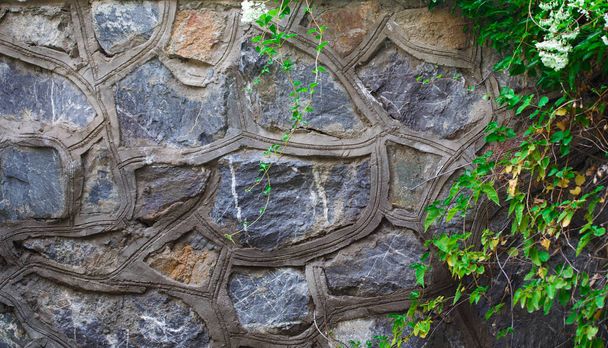 Tekstura kamienia. Ogrodzenie z kamieni z zielonymi liśćmi i gałęziami. tło - Zdjęcie, obraz