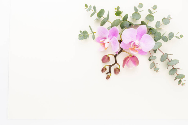 Pink orchid on the pastel background. Spa background. - 写真・画像