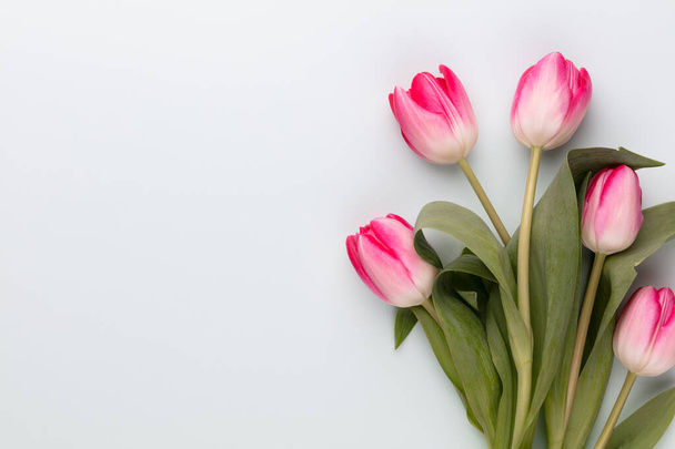 Rózsaszín tulipán virágok pasztell háttér. - Fotó, kép