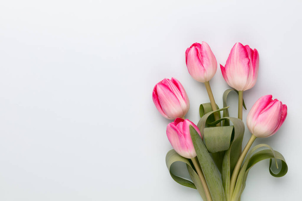 Pink tulip flowers on pastel background. - Photo, Image