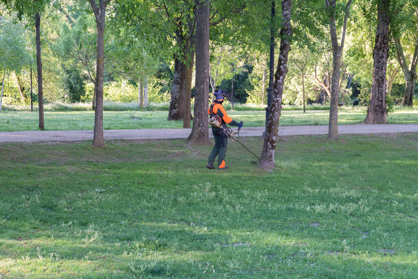 man mowing grass with a lawnmower in the park - Foto, imagen
