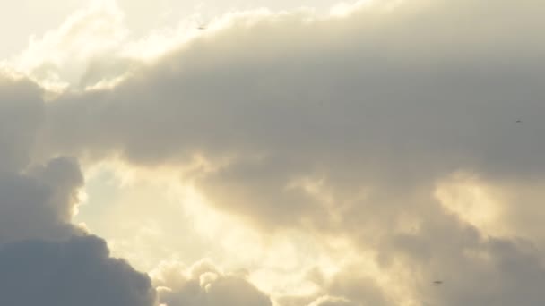 Naplemente felhőkkel az égen, madarak repülnek - Felvétel, videó