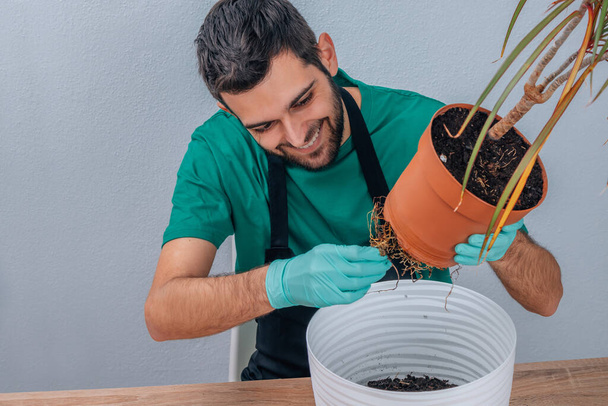 man transplanting the potted plant, gardening - Foto, Bild