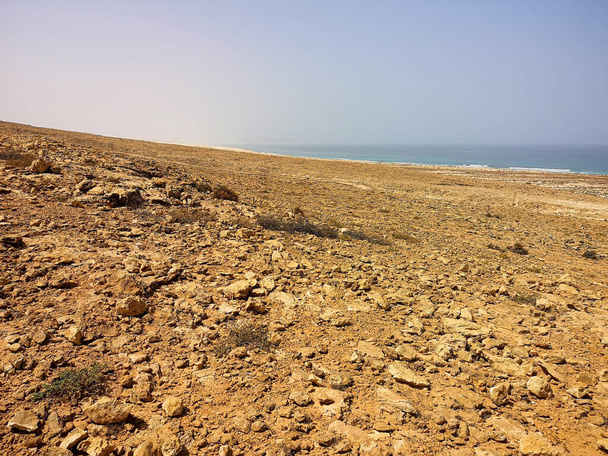 beautiful landscape of the negev desert in israel - Foto, Bild