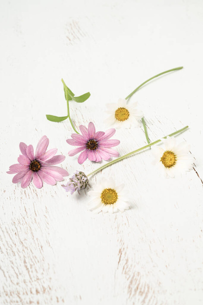 daisy flowers, beautiful daisy flowers on white wooden table or background or surface with selective focus. floral spring background concept with copy space - Φωτογραφία, εικόνα