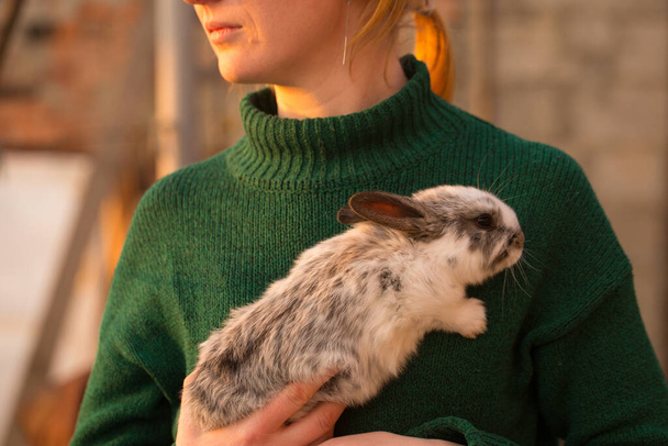 Een jonge vrouw in een groene trui houdt een konijntje in haar handen - Foto, afbeelding
