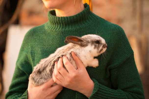 Una joven con un suéter verde sostiene un pequeño conejo en sus manos - Foto, imagen