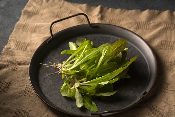 Hromada čerstvého zeleného salátu na kovovém podnose - Fotografie, Obrázek