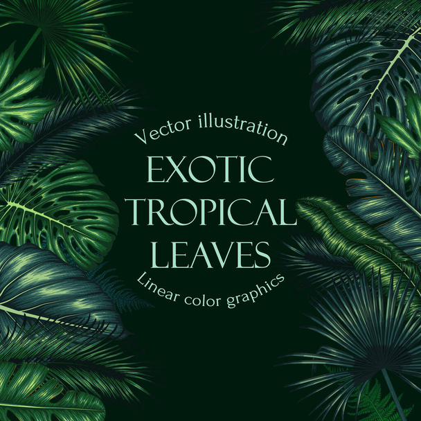  Vector illustration banner template with tropical plants in engraving style. Color graphic linear exotic palm and banana leaves, monstera, aralia, elephant ear leaf, fern - ベクター画像