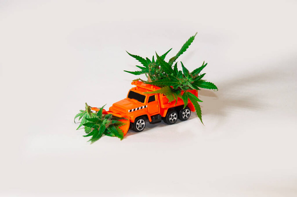 掘削機は大麻を貨物車に積み込む。おもちゃの車は後ろに医療大麻を運んでいます. - 写真・画像