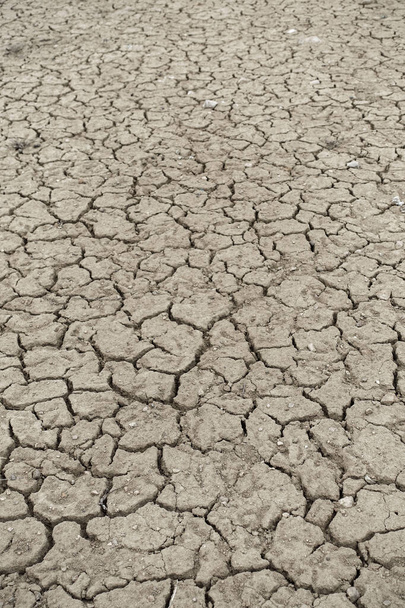 быстрое высыхание трещин и трещин почв в результате глобального потепления, - Фото, изображение