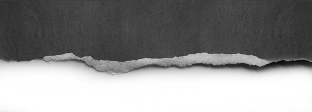 Beyaz arkaplanda yırtılmış kağıt kenarı, kopyalamak için boşluk - Fotoğraf, Görsel