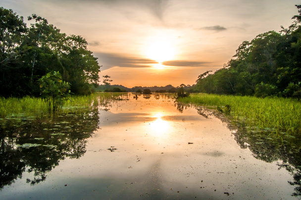 Ποταμός στο τροπικό δάσος του Αμαζονίου στο σούρουπο, Περού, Νότια Αμερική  - Φωτογραφία, εικόνα