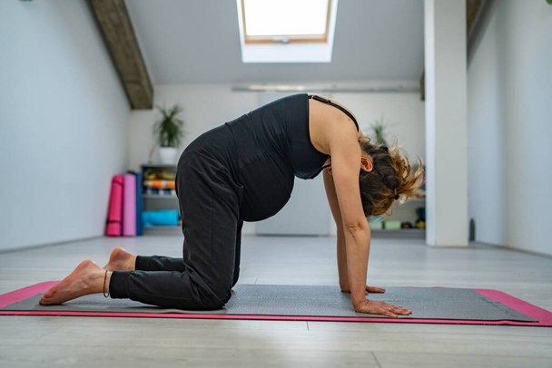 Eine schwangere Frau übt Stretching im Studio oder zu Hause Yoga und Fitness Schwangerschaftskonzept echte Menschen kopieren Raum Katzenposition - Foto, Bild